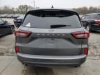 2023 Ford Escape ST Line