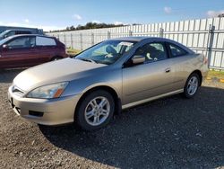 2006 Honda Accord EX en venta en Anderson, CA