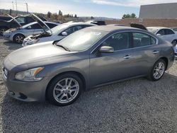 Salvage cars for sale from Copart Mentone, CA: 2014 Nissan Maxima S