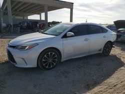 Toyota salvage cars for sale: 2016 Toyota Avalon XLE