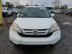 2011 Honda CR-V EXL