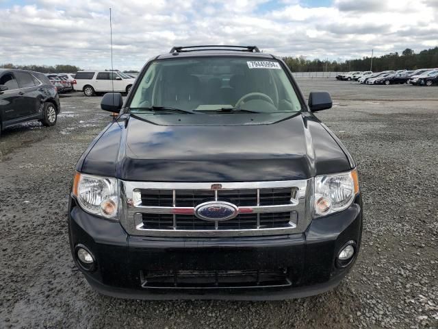 2009 Ford Escape XLT