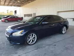 Nissan salvage cars for sale: 2009 Nissan Maxima S