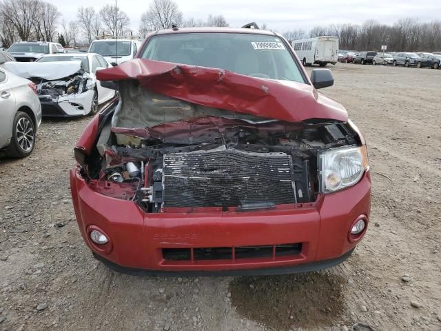 2010 Ford Escape XLT