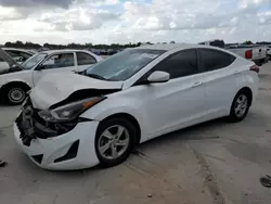 Salvage cars for sale at Homestead, FL auction: 2015 Hyundai Elantra SE