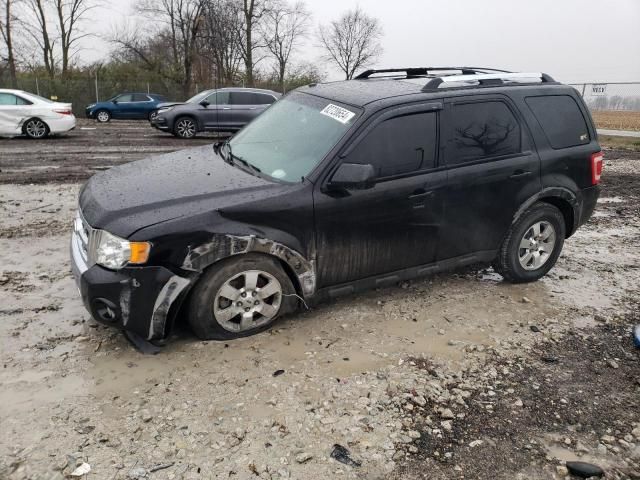 2011 Ford Escape Limited