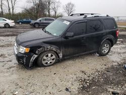 Salvage cars for sale from Copart Cicero, IN: 2011 Ford Escape Limited