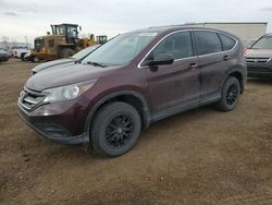 2013 Honda CR-V LX en venta en Rocky View County, AB