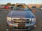 2008 Ford Escape HEV