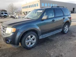 Ford salvage cars for sale: 2009 Ford Escape XLT