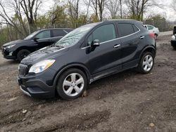 Salvage cars for sale at Cicero, IN auction: 2016 Buick Encore