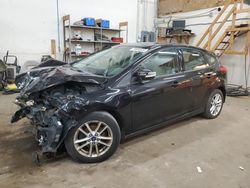 Salvage cars for sale at Ham Lake, MN auction: 2015 Ford Focus SE