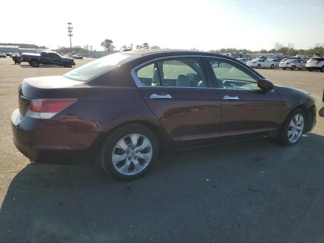 2010 Honda Accord EXL