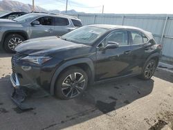 Carros salvage sin ofertas aún a la venta en subasta: 2020 Lexus UX 200