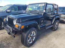 Salvage cars for sale at Riverview, FL auction: 2002 Jeep Wrangler / TJ Sahara