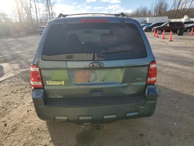 2010 Ford Escape XLT