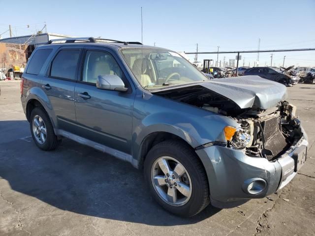 2010 Ford Escape Limited