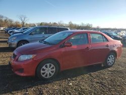 Toyota Vehiculos salvage en venta: 2010 Toyota Corolla Base