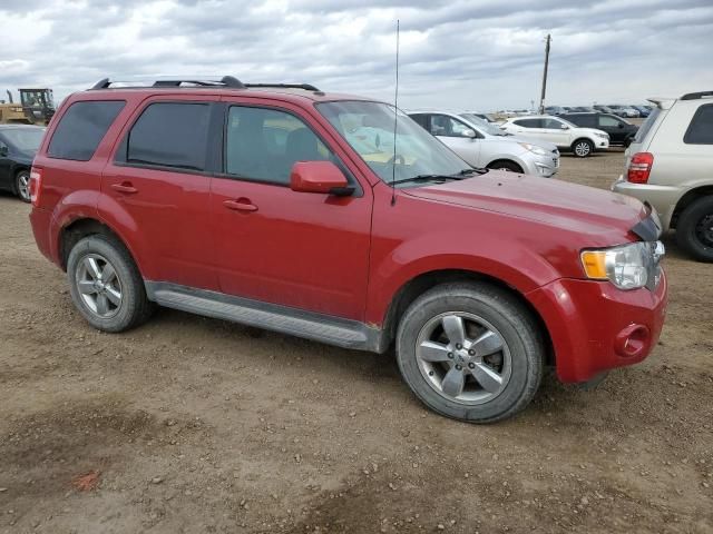 2010 Ford Escape Limited