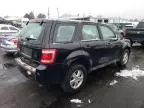 2011 Ford Escape XLS