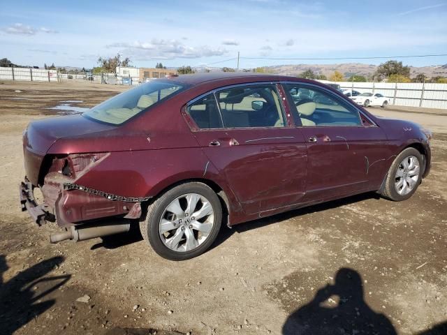 2010 Honda Accord EXL