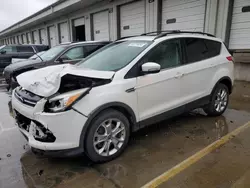 Salvage cars for sale at Louisville, KY auction: 2013 Ford Escape SEL