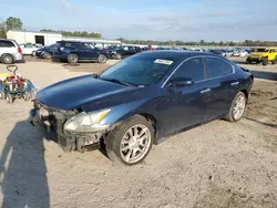 Salvage cars for sale from Copart Harleyville, SC: 2010 Nissan Maxima S