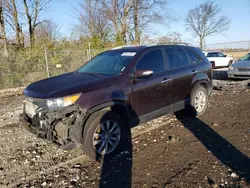 KIA Vehiculos salvage en venta: 2011 KIA Sorento EX