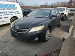 Toyota salvage cars for sale: 2010 Toyota Camry Base