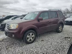 Salvage cars for sale at Wayland, MI auction: 2011 Honda Pilot EXL