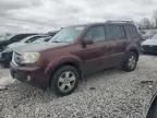 2011 Honda Pilot EXL