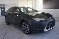 Lexus ux 200 Vehiculos salvage en venta: 2019 Lexus UX 200