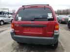 2003 Ford Escape XLT