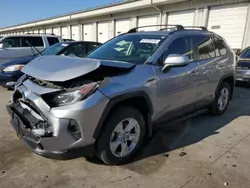 Salvage cars for sale at Louisville, KY auction: 2019 Toyota Rav4 XLE