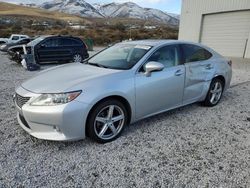 Lexus Vehiculos salvage en venta: 2014 Lexus ES 350