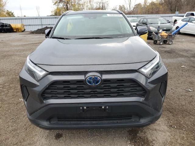 2023 Toyota Rav4 XLE