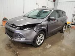 Salvage cars for sale at Franklin, WI auction: 2014 Ford Escape SE