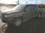 2006 Honda Ridgeline RTS