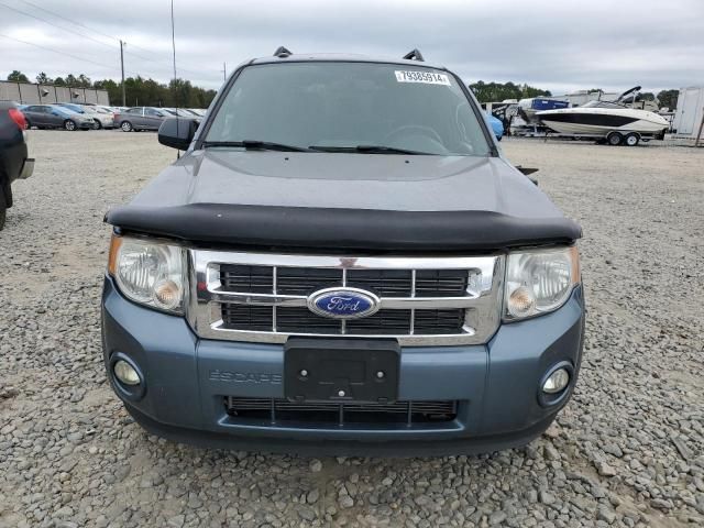 2012 Ford Escape XLT