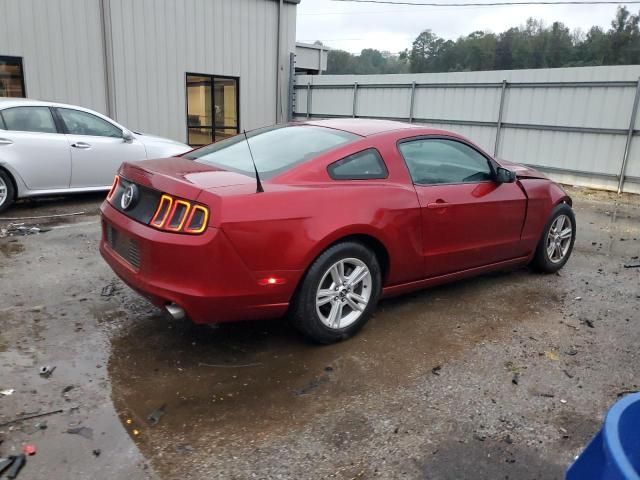 2014 Ford Mustang