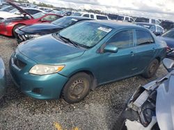 Salvage cars for sale at Riverview, FL auction: 2009 Toyota Corolla Base