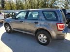 2009 Ford Escape XLS