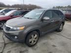 2013 KIA Sorento EX