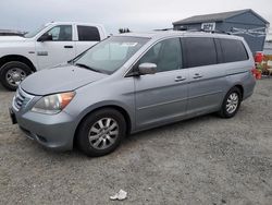 Honda salvage cars for sale: 2010 Honda Odyssey EXL