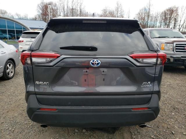 2024 Toyota Rav4 XLE