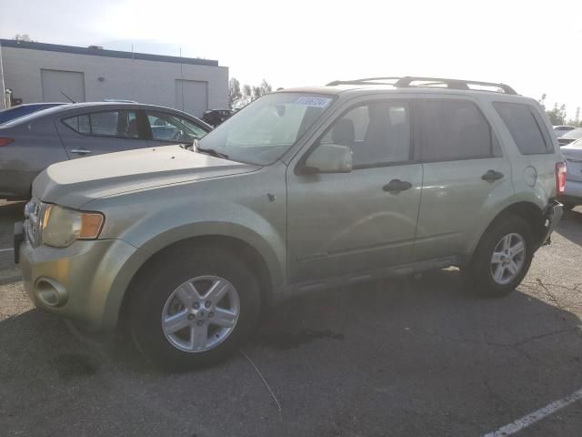 2008 Ford Escape HEV