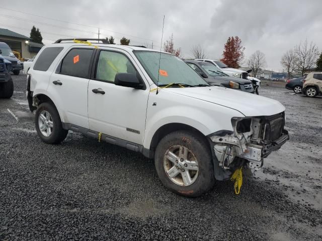 2008 Ford Escape HEV