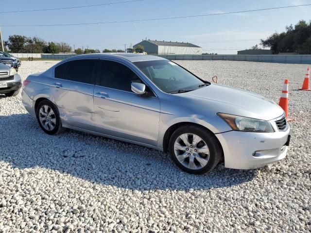 2010 Honda Accord EXL