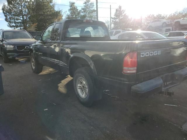 2000 Dodge Dakota