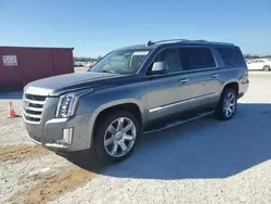 Cadillac Vehiculos salvage en venta: 2019 Cadillac Escalade ESV Luxury